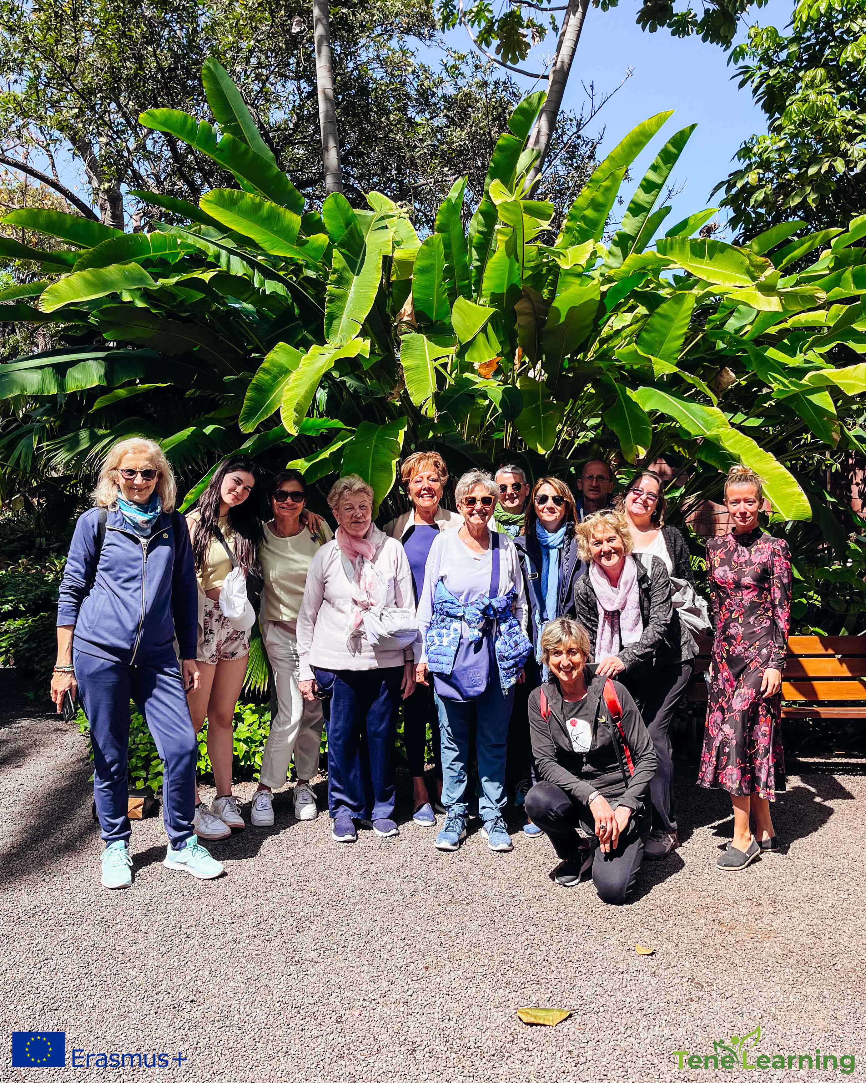 guests in Tenerife